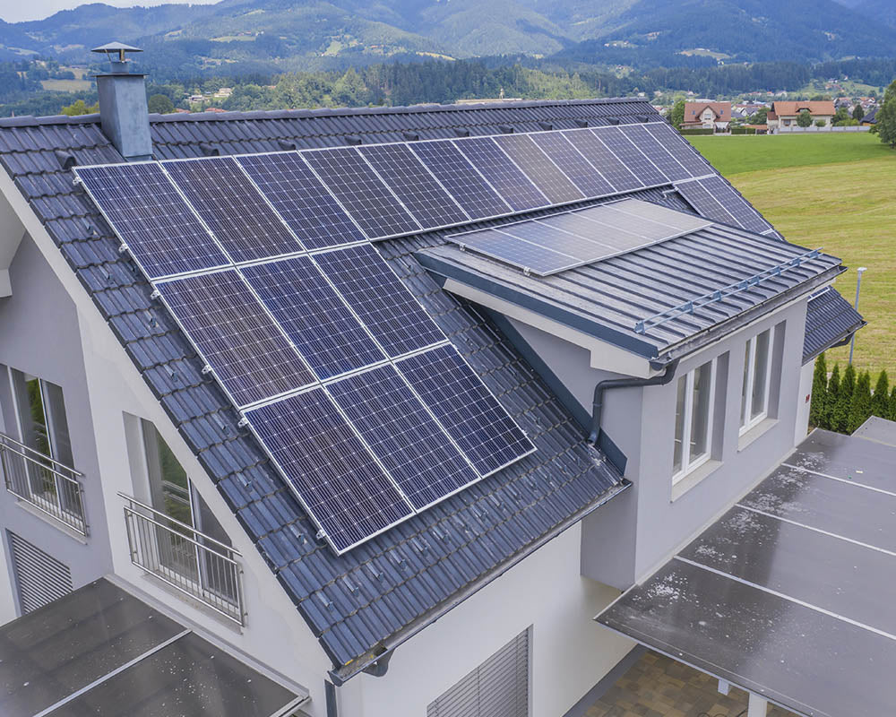 Biomasse – Energie aus nachwachsenden Rohstoffen
